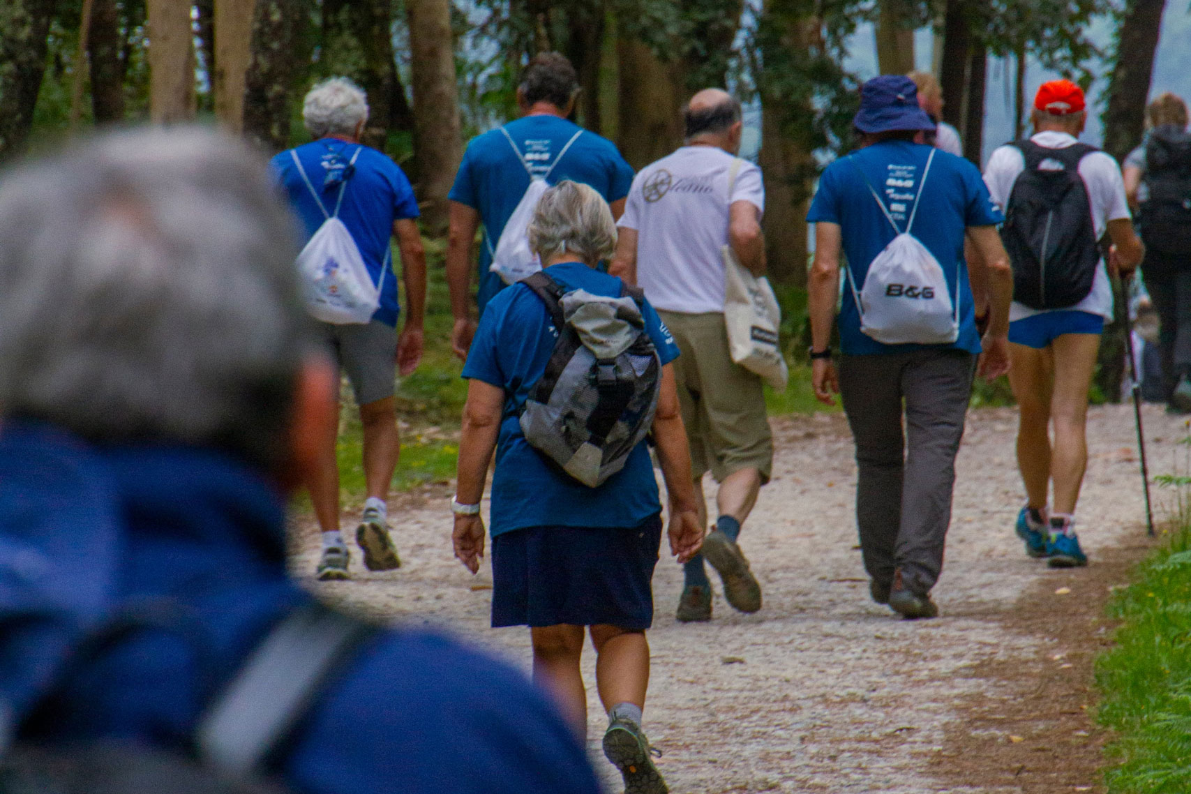 noticias náuticas, actualidad náutica, camino a vela, camino de santiago, regata, regatista, vela, e