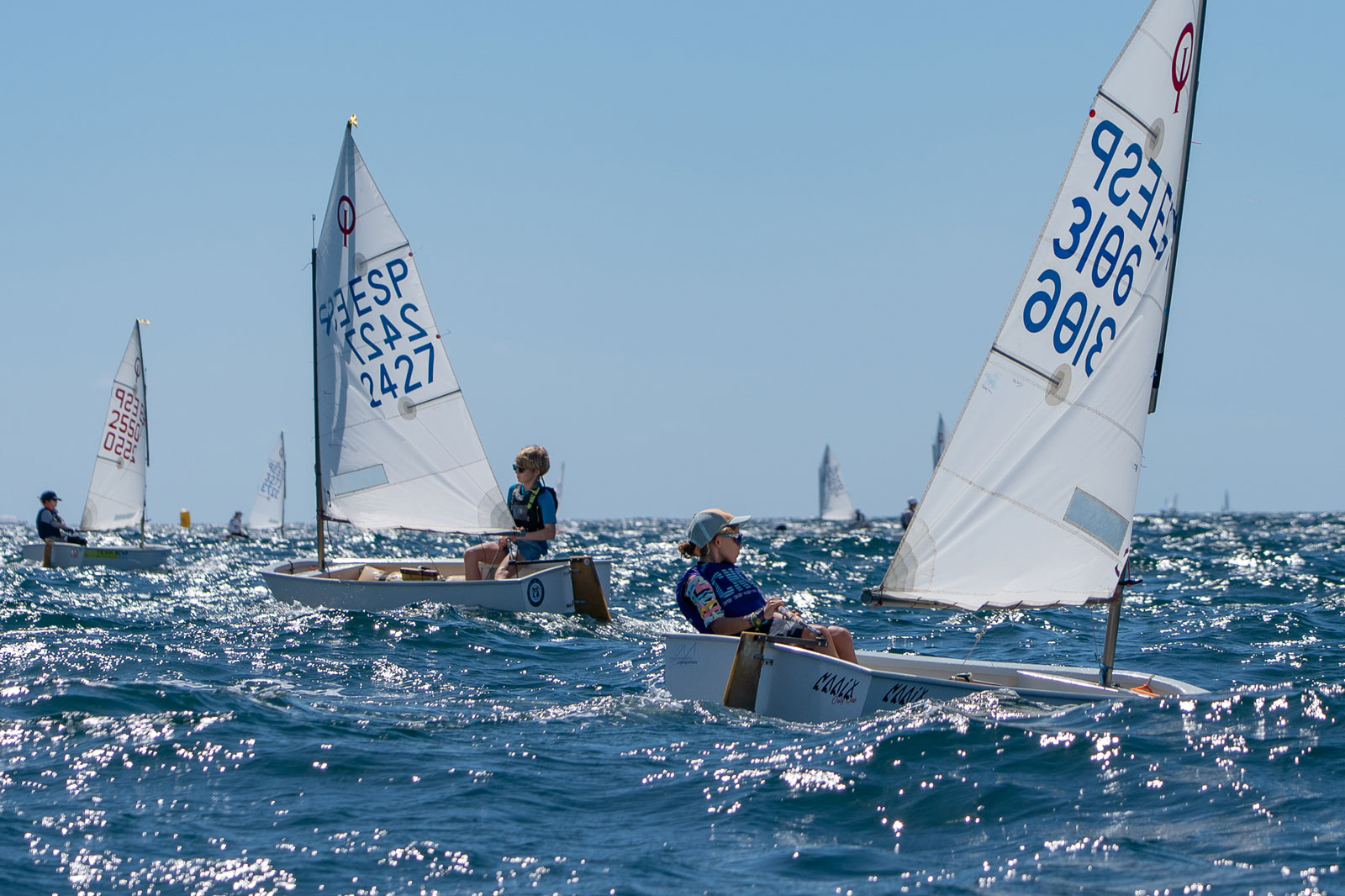 noticias náuticas, actualidad náutica, optimist, trofeo abanca optimist, rcnp, real club náutico de 