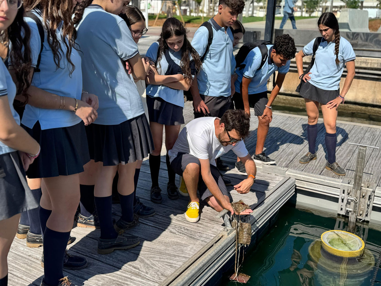 noticias náuticas, actualidad náutica, trampas de bifouling, proyecto académico, marina port de mall