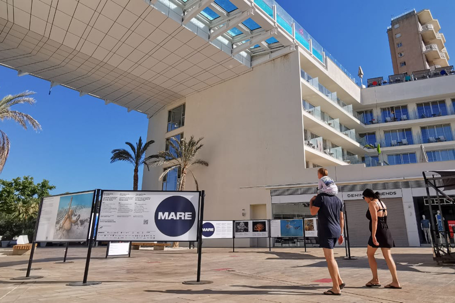 noticias náuticas, actualidad náutica, calvià, mare, la voz del mar, la veu del mar, exposición foto