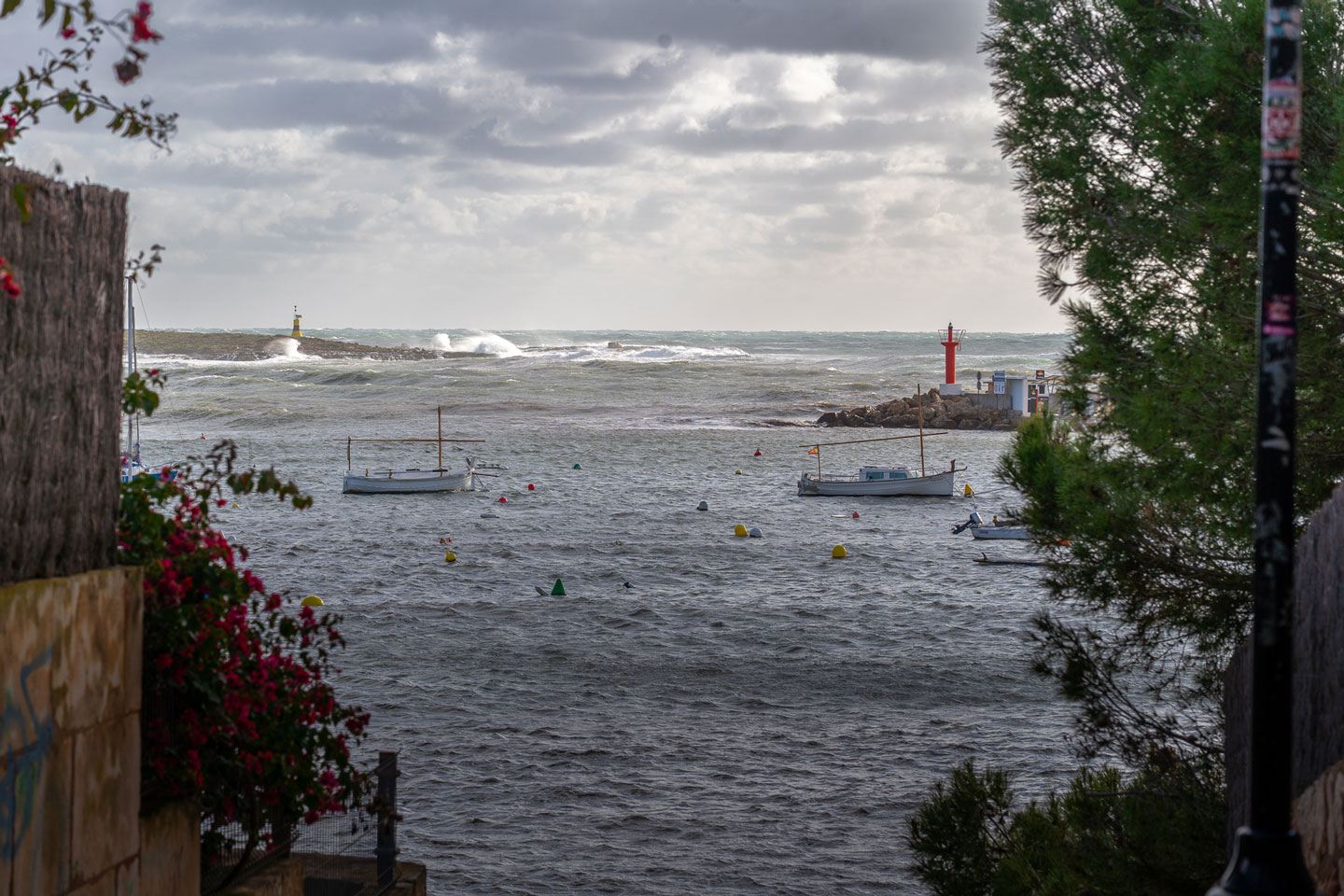 noticias náuticas, actualidad náutica, campos de boyas, portsib, ports de baleares, irregularidades,