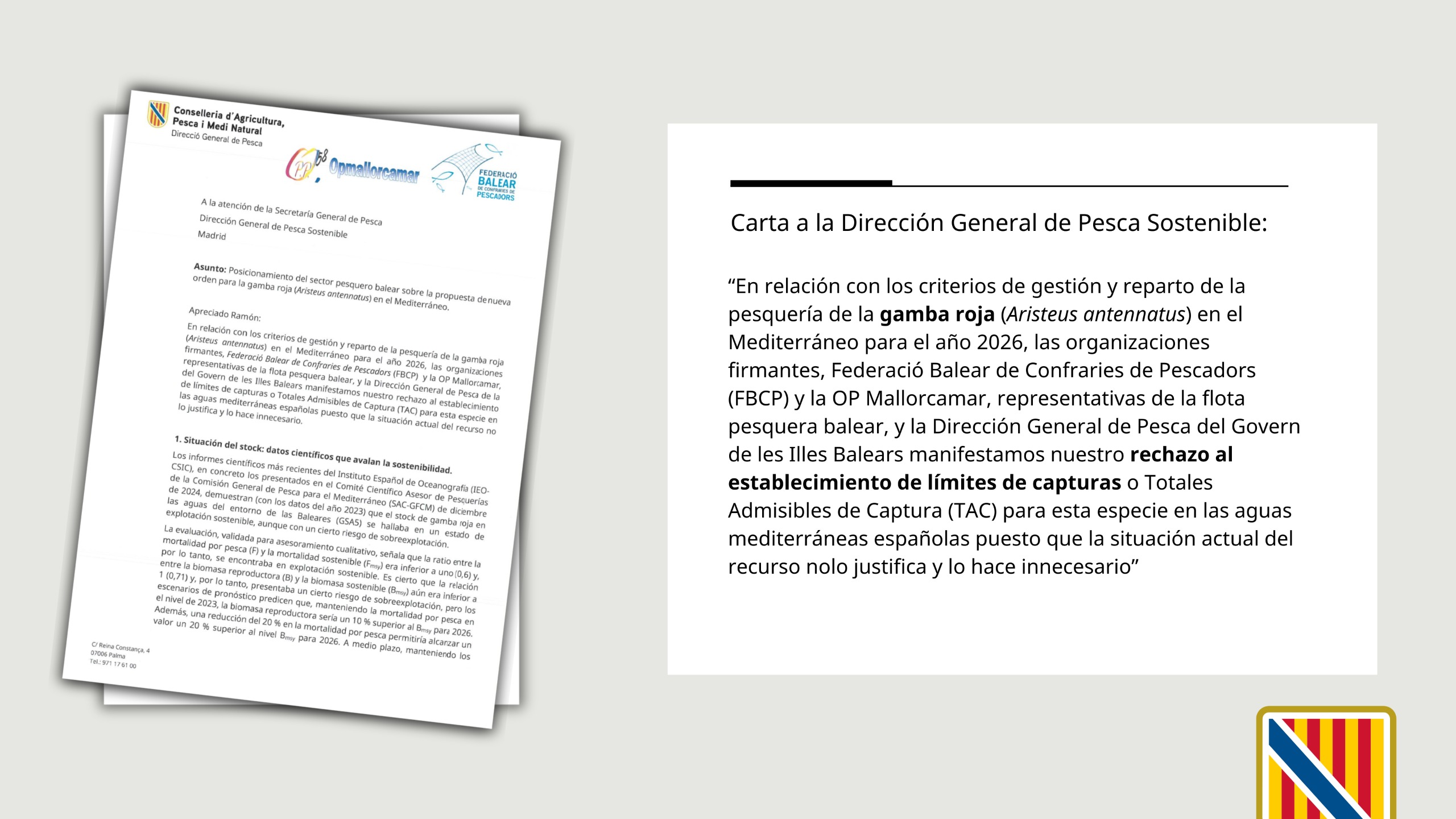 noticias náuticas, actualidad náutica, sector pesquero balear, pesca en baleares, gamba roja, cuota 