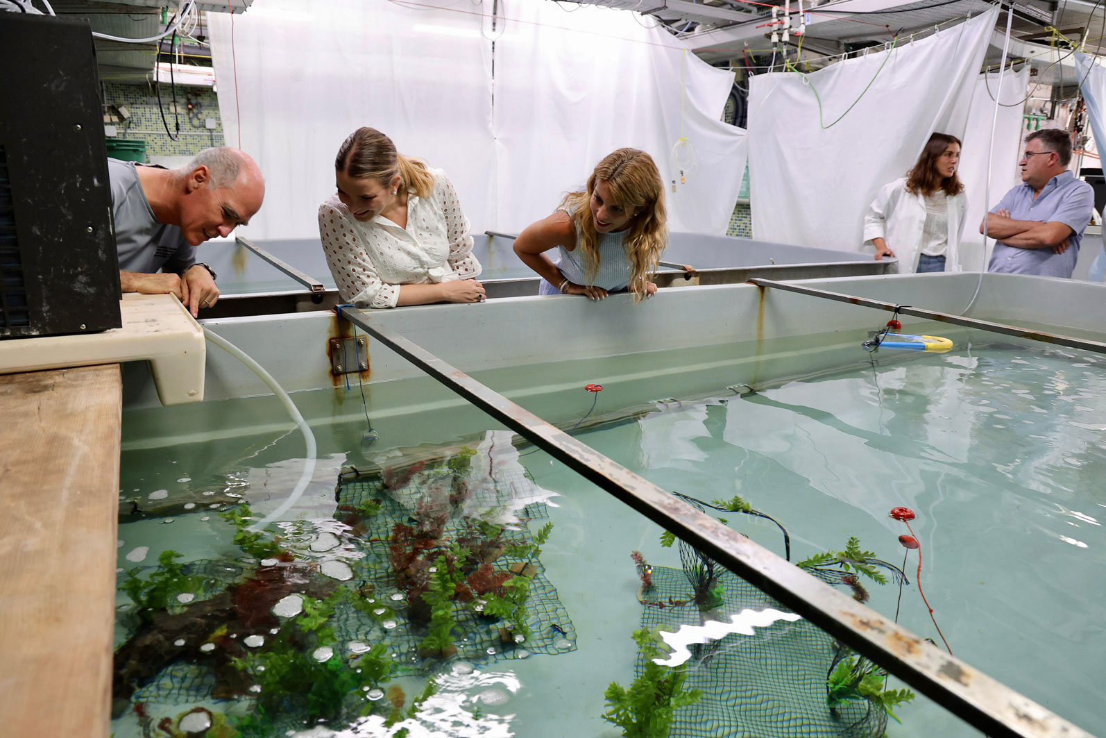 noticias náuticas, actualidad náutica, pesca, producto local, limia, Laboratorio de Investigaciones 