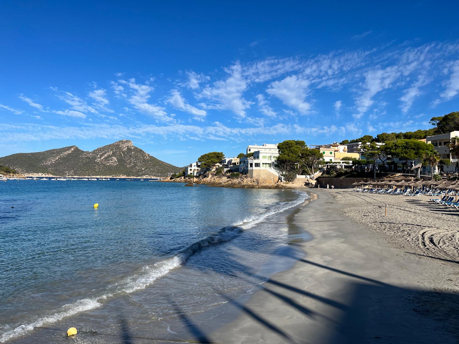 noticias náuticas, actualidad náutica, sant elm, andratx, medio ambiente, agua marina algas, mar
