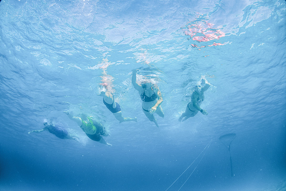 noticias náuticas, actualidad náutica, palma beach, palma beach swim crossing, natación, aguas abier