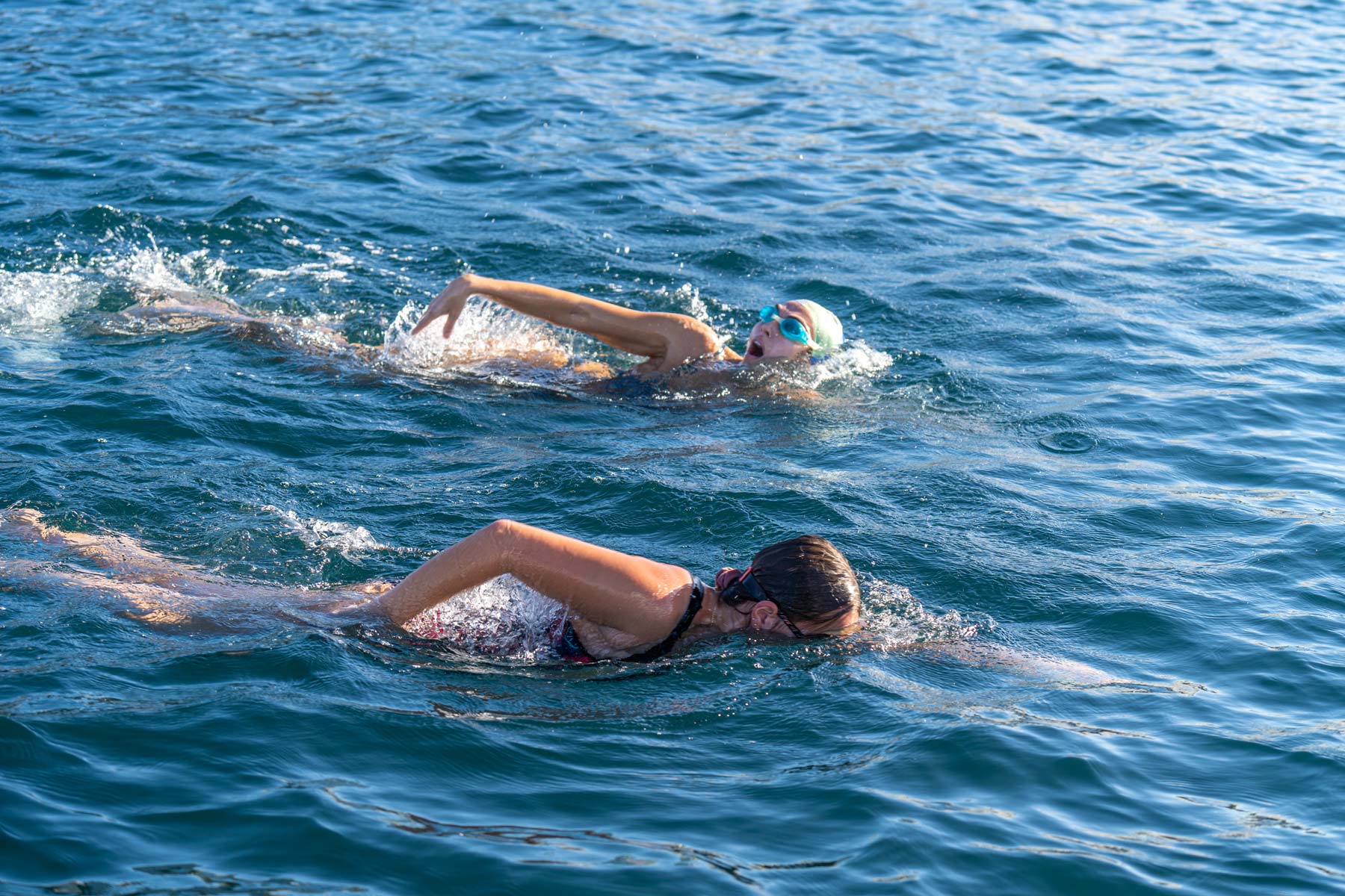 noticias náuticas, actualidad náutica, palma beach, palma beach swim crossing, natación, aguas abier