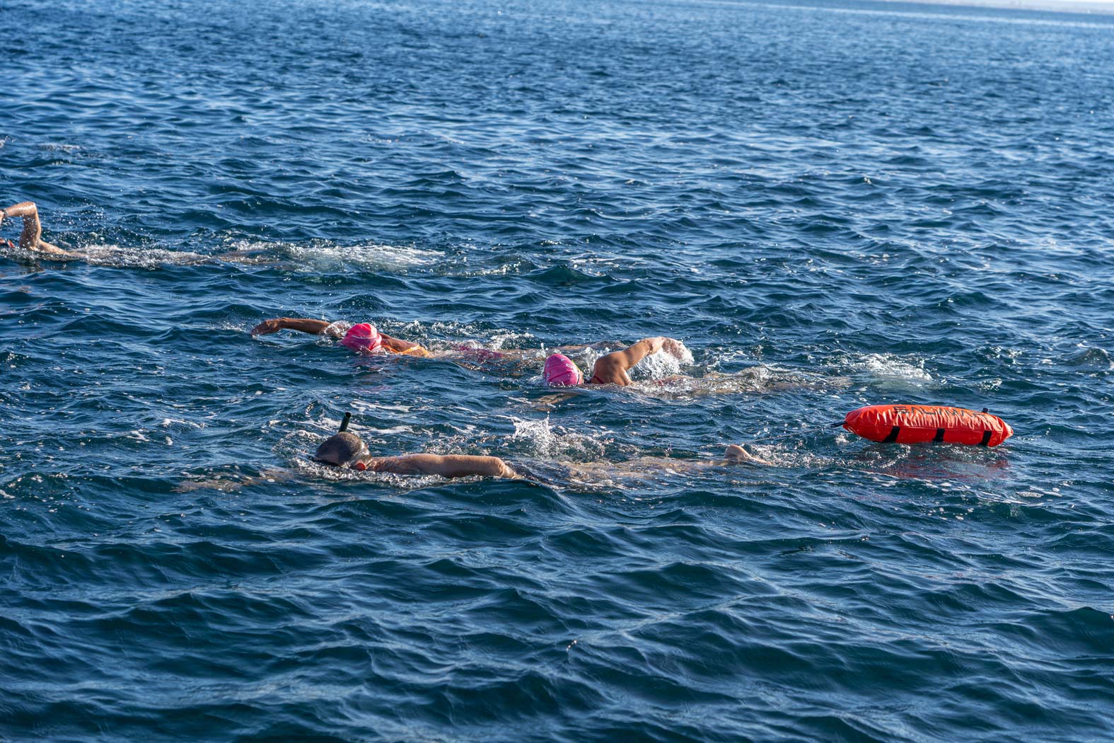 noticias náuticas, actualidad náutica, palma beach, palma beach swim crossing, natación, aguas abier