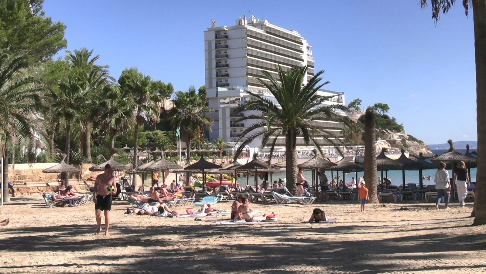 noticias náuticas, actualidad náutica, calvià, playas de calvià, santa ponça, torà, palmira, palmano