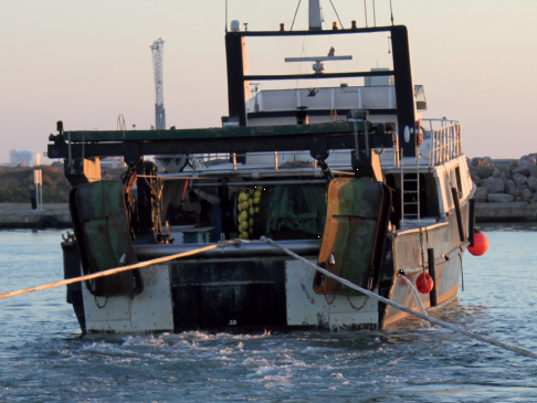 nautical news, nautical news, fishing, fishing industry, fishermen, fishing restrictions, 