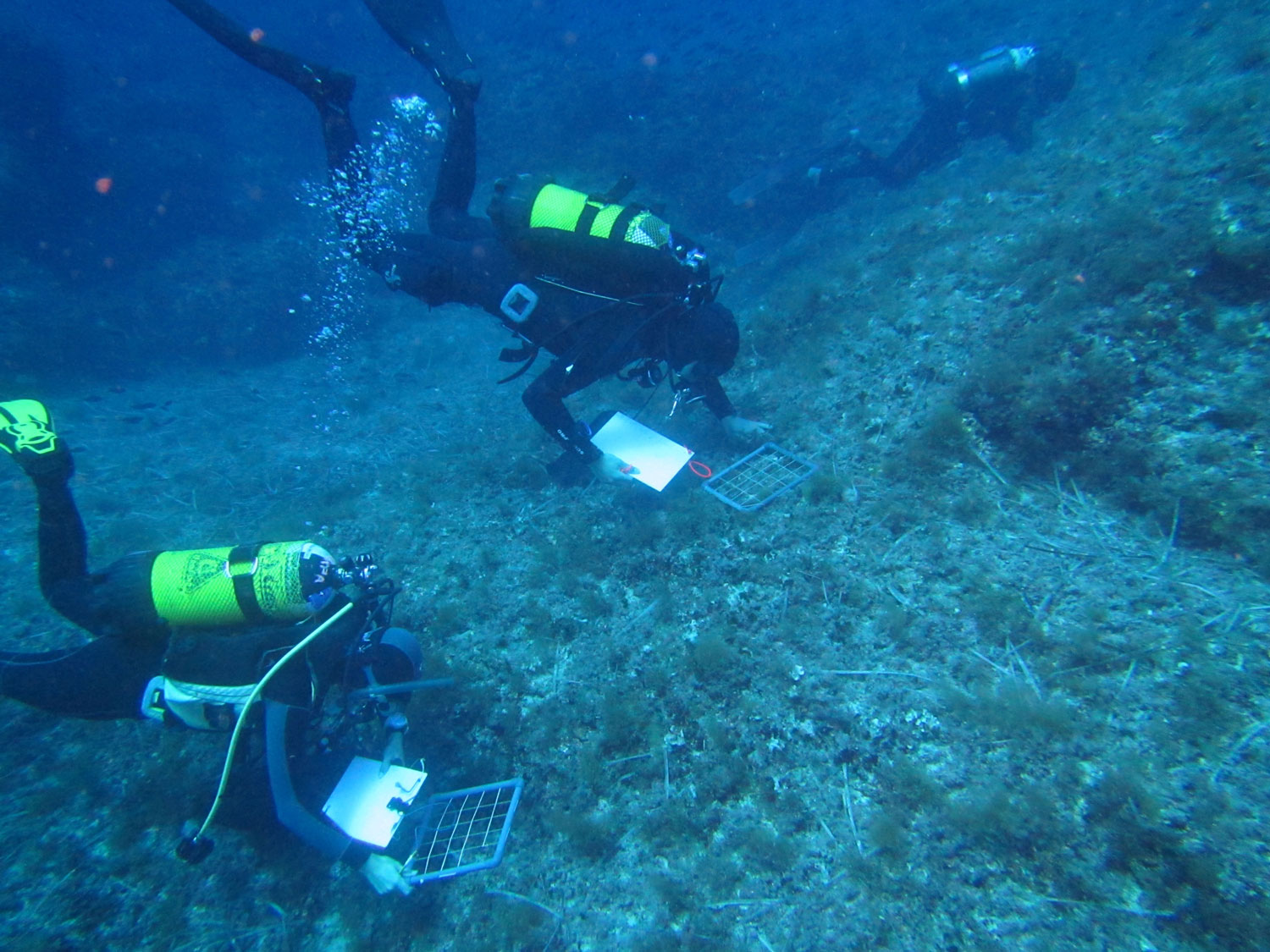 noticias náuticas, actualidad náutica, cabrera, parque nacional, biodiversidad, ciencia, medio ambie