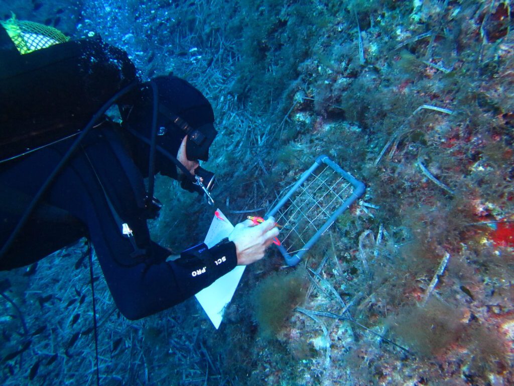 noticias náuticas, actualidad náutica, cabrera, parque nacional, biodiversidad, ciencia, medio ambie