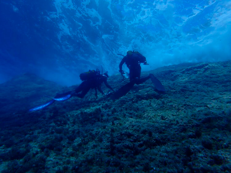 noticias náuticas, actualidad náutica, cabrera, parque nacional, biodiversidad, ciencia, medio ambie
