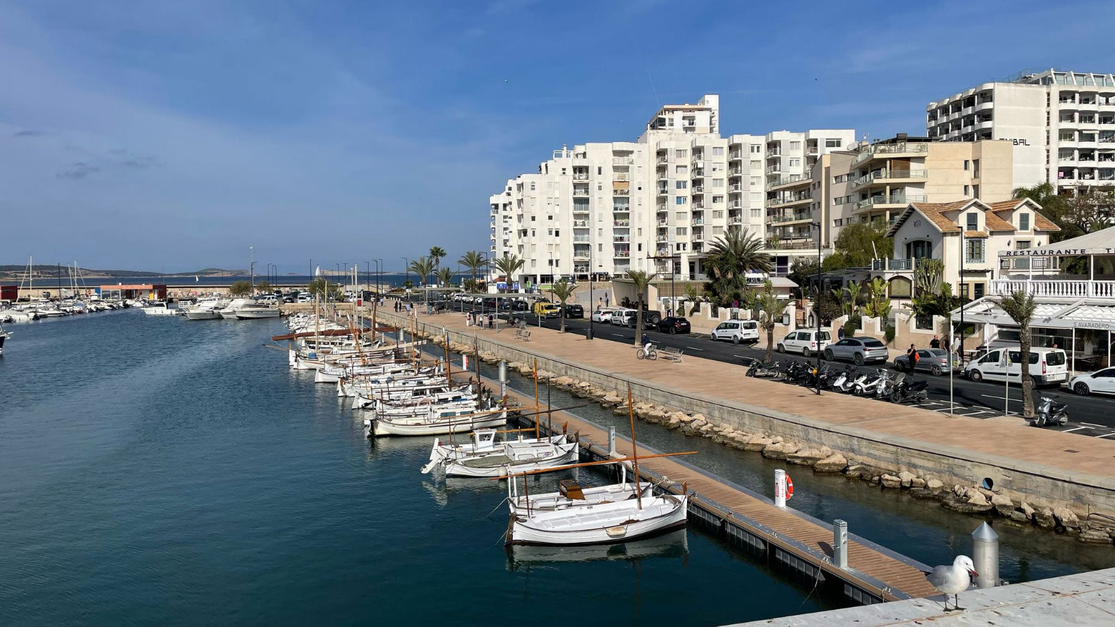 noticias náuticas, actualidad náutica, salvem sa badia, sant antoni de portmany, caló des moro, agua