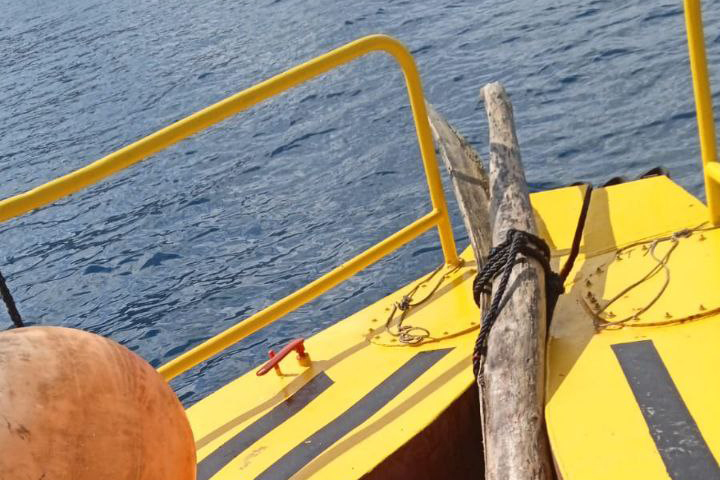 noticias náuticas, actualidad náutica, islas baleares, limpieza del litoral, medio ambiente, fauna m