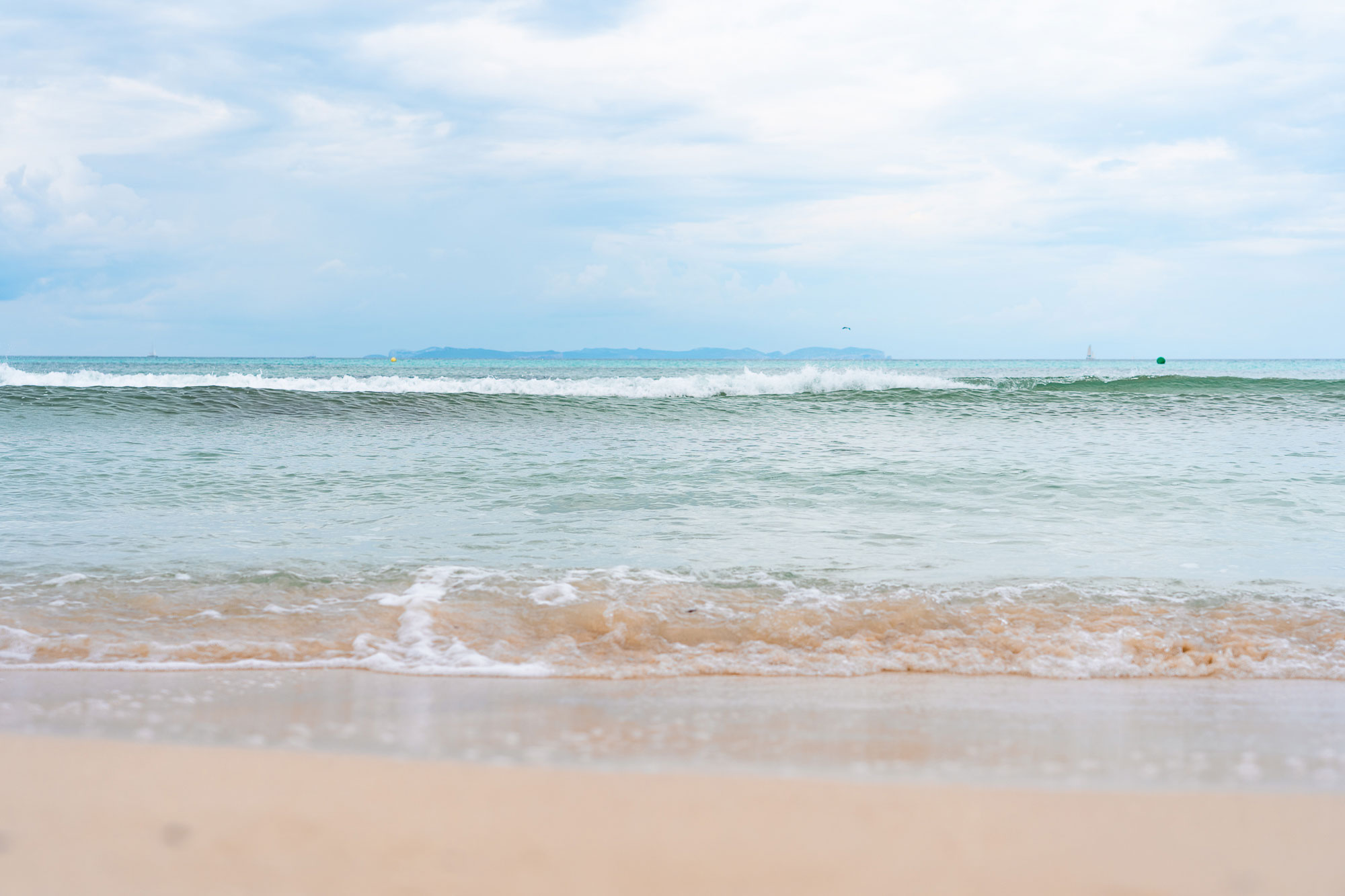 noticias náuticas, actualidad náutica, ibiza, playas, licitación, servicios, hamacas, parasoles