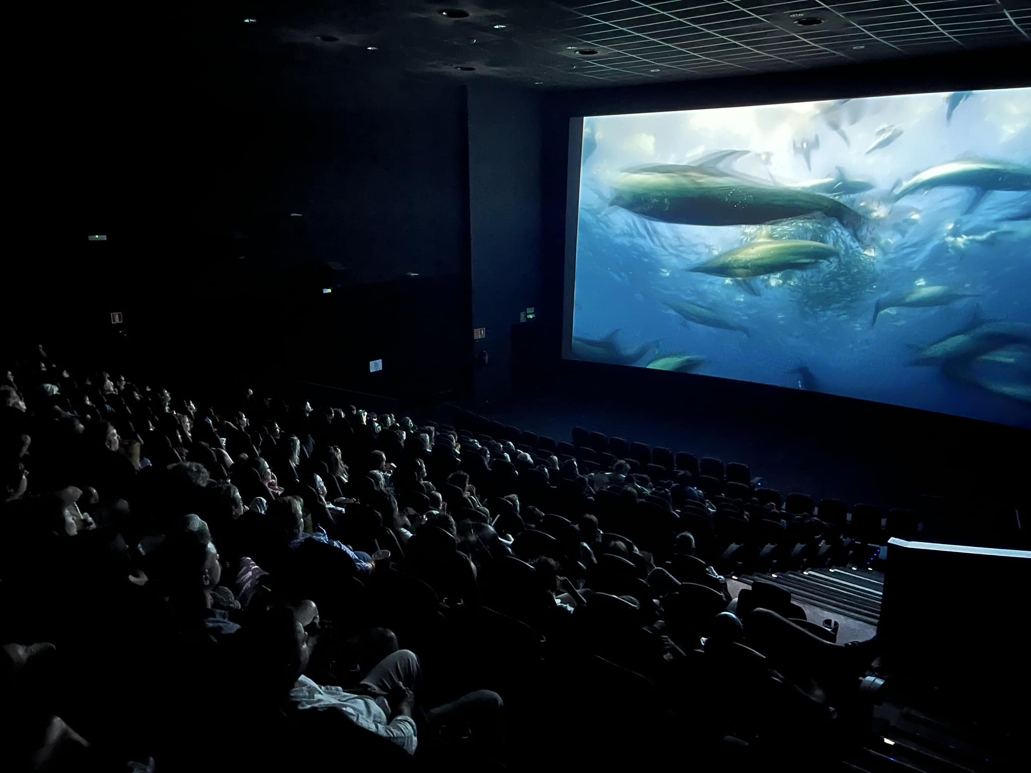 noticias náuticas, actualidad náutica, international ocean film tour, salvem sa badia, ibiza, multic