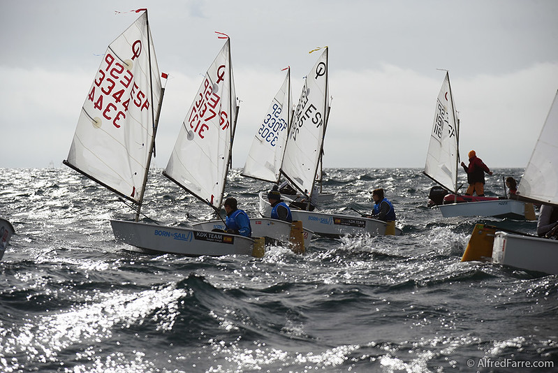 noticias náuticas, actualidad náutica, palamós optimist trophy, regata, vela, regatista, embarcacion