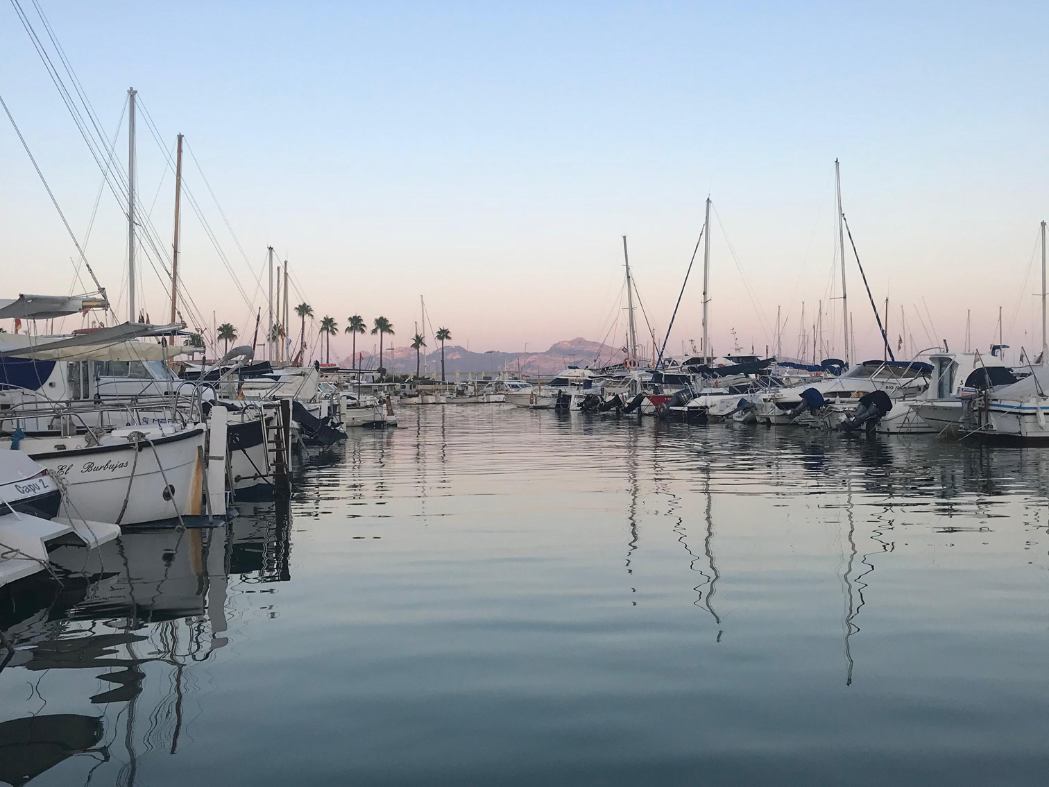 noticias náuticas, actualidad náutica, port de pollença, amarres, portsib, ports de baleares, gestió