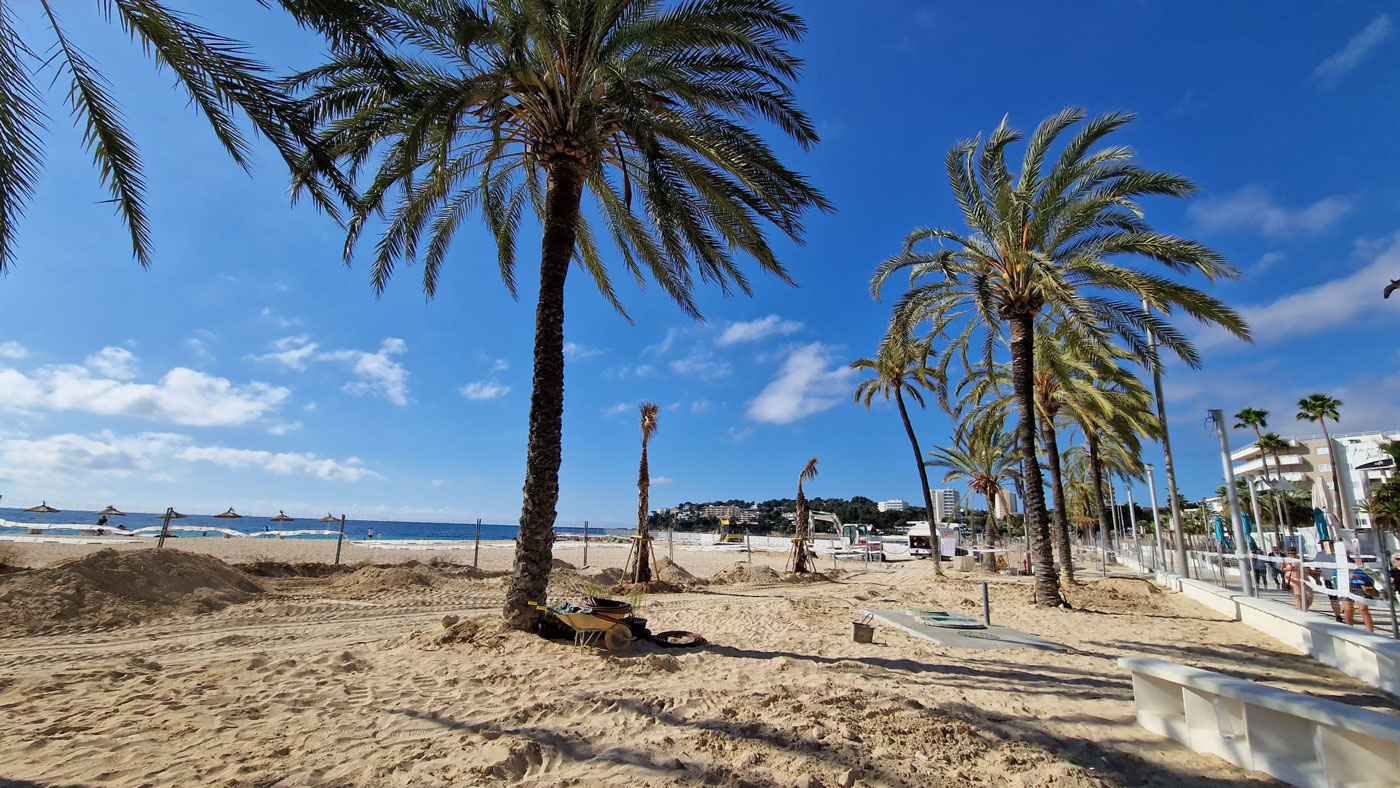 nautical news, calvià, magaluf, seafront promenade, sustainability, european funds, ecology