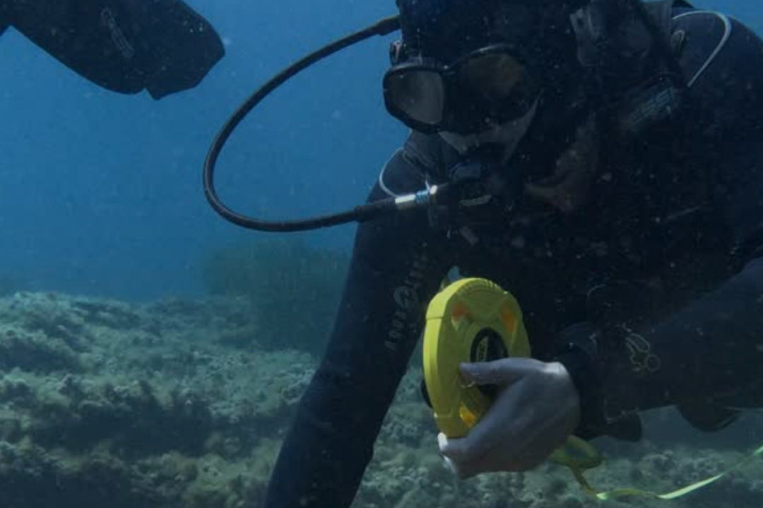 nautical news, environment, ocean, waste, rubbish, mallorca, menorca, ibiza, IEO, study