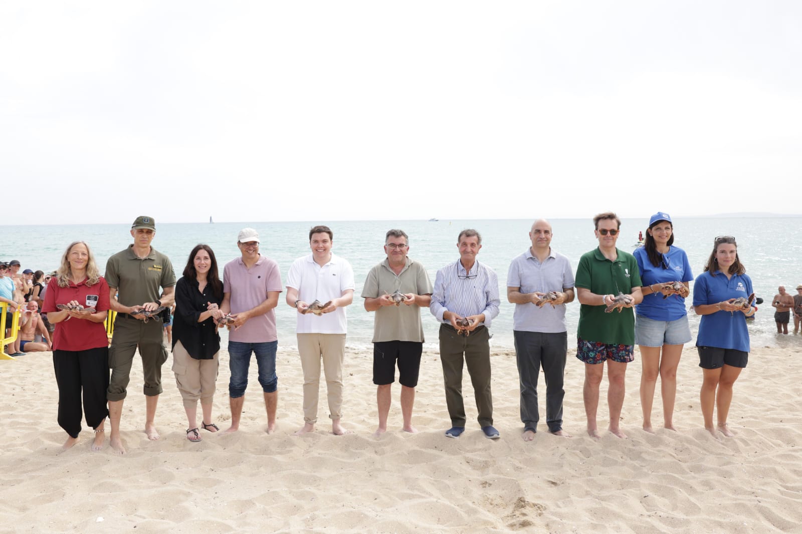 noticias náuticas, actualidad náutica, tortugas marinas, medio ambiente, fauna marina, conservación 