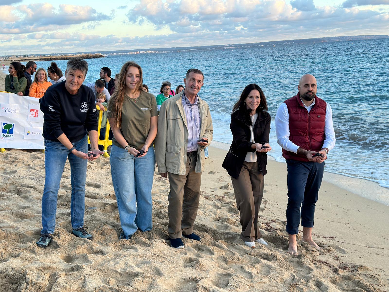 noticias náuticas, actualidad náutica, tortugas marinas, medio ambiente, fauna marina, conservación 