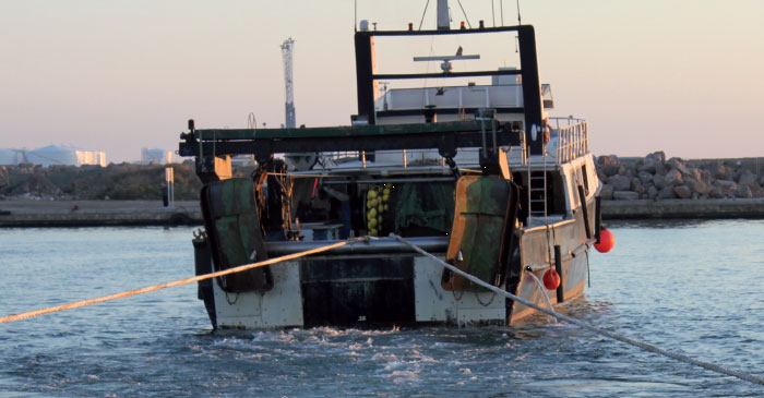 nautical news, balearic islands, fishmongers, fisheries, laws, sustainability, artisanal fishing, pr