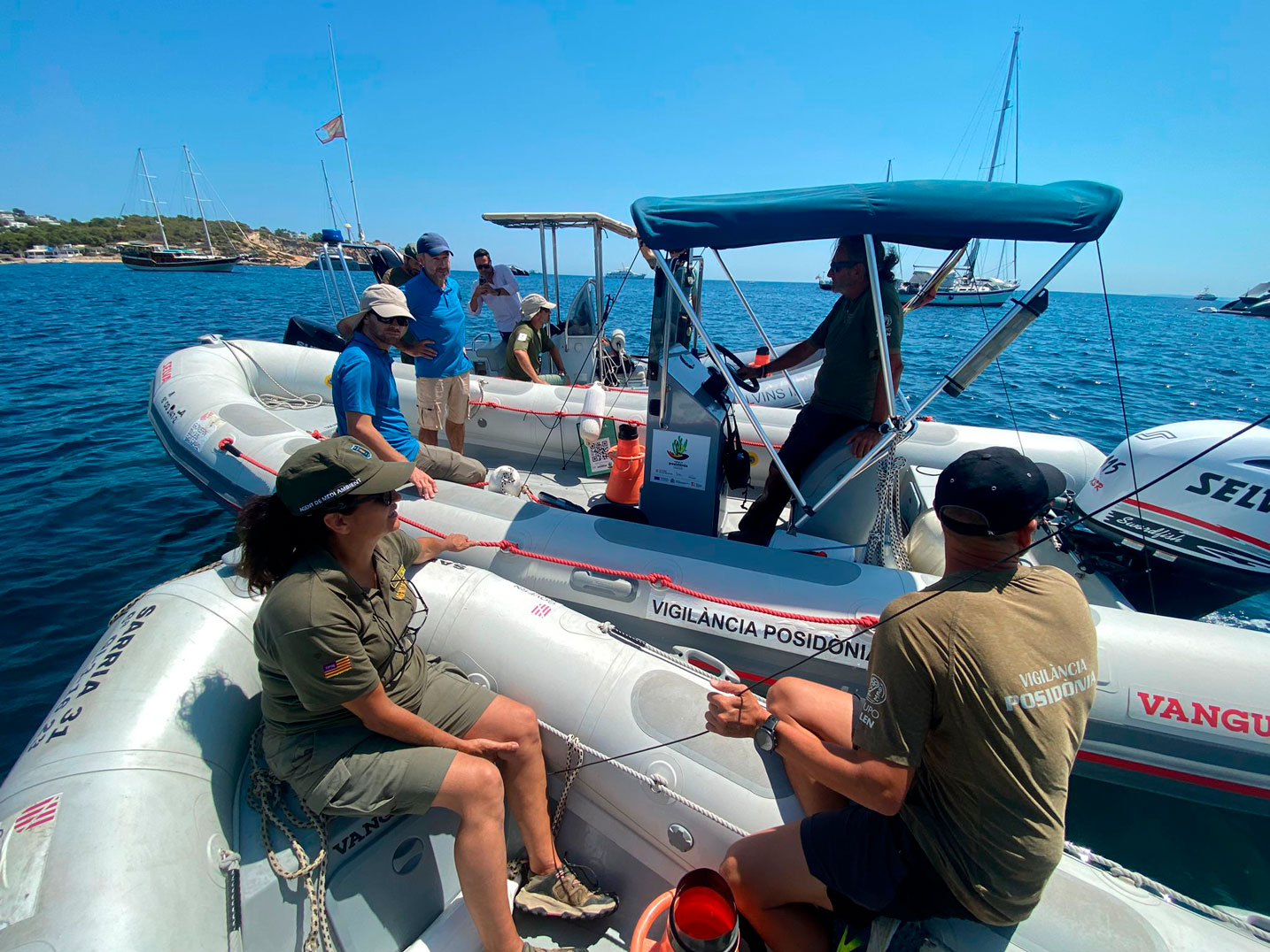 noticias náuticas, actualidad náutica, posidonia, bahía de talamanca, ibiza, fondeo ilegal, medio am
