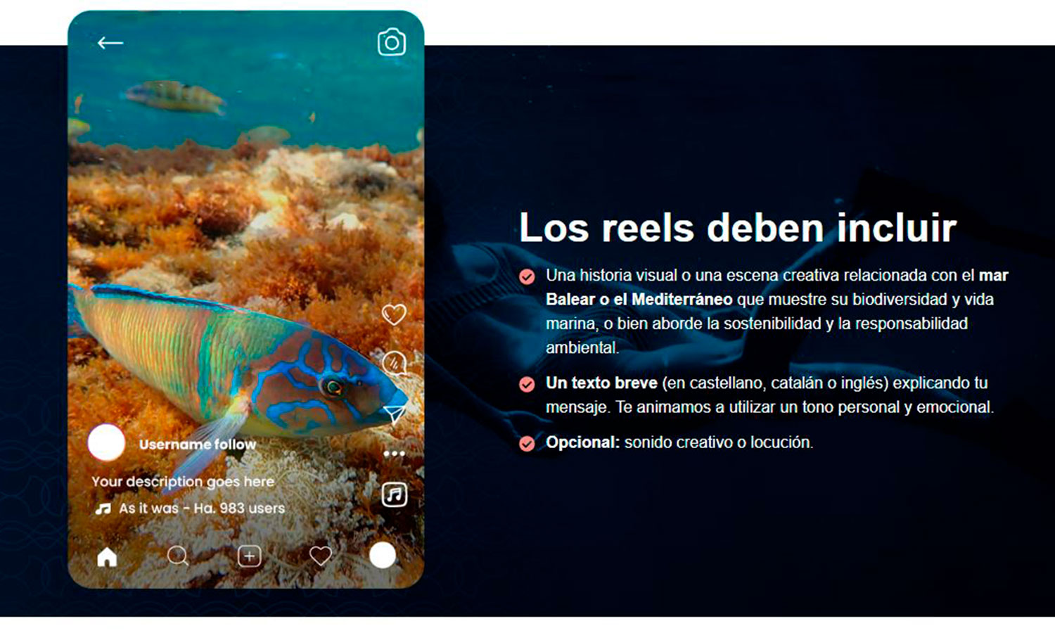MARE SEA REEL
