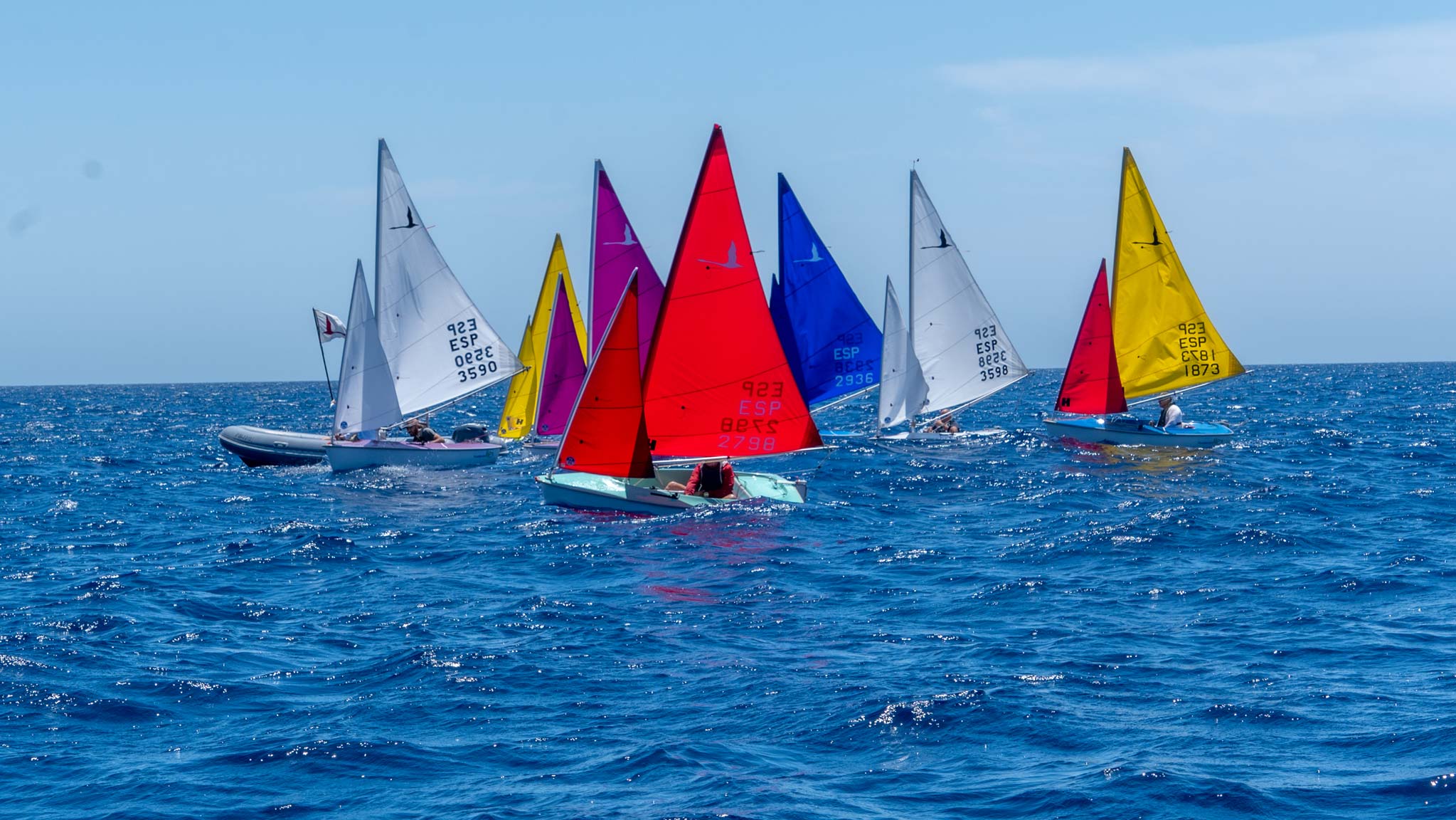noticias náuticas, actualidad náutica, hansa 303, vela adaptada, regata, regatista, embarcación