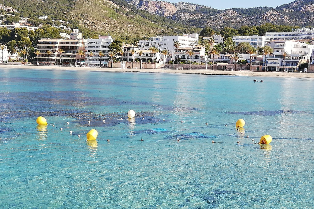 noticias náuticas, actualidad náutica, calvià, microalgas, medio ambiente, bombas submarinas, fondo 