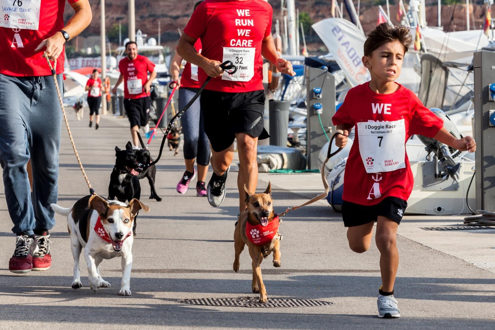 noticias náuticas, actualidad náutica, port adriano, doggie race, carrera de perros, perros, animale