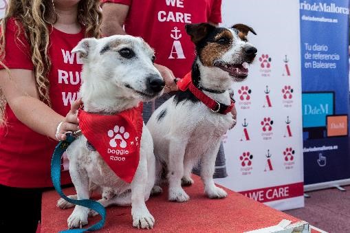 noticias náuticas, actualidad náutica, port adriano, doggie race, carrera de perros, perros, animale