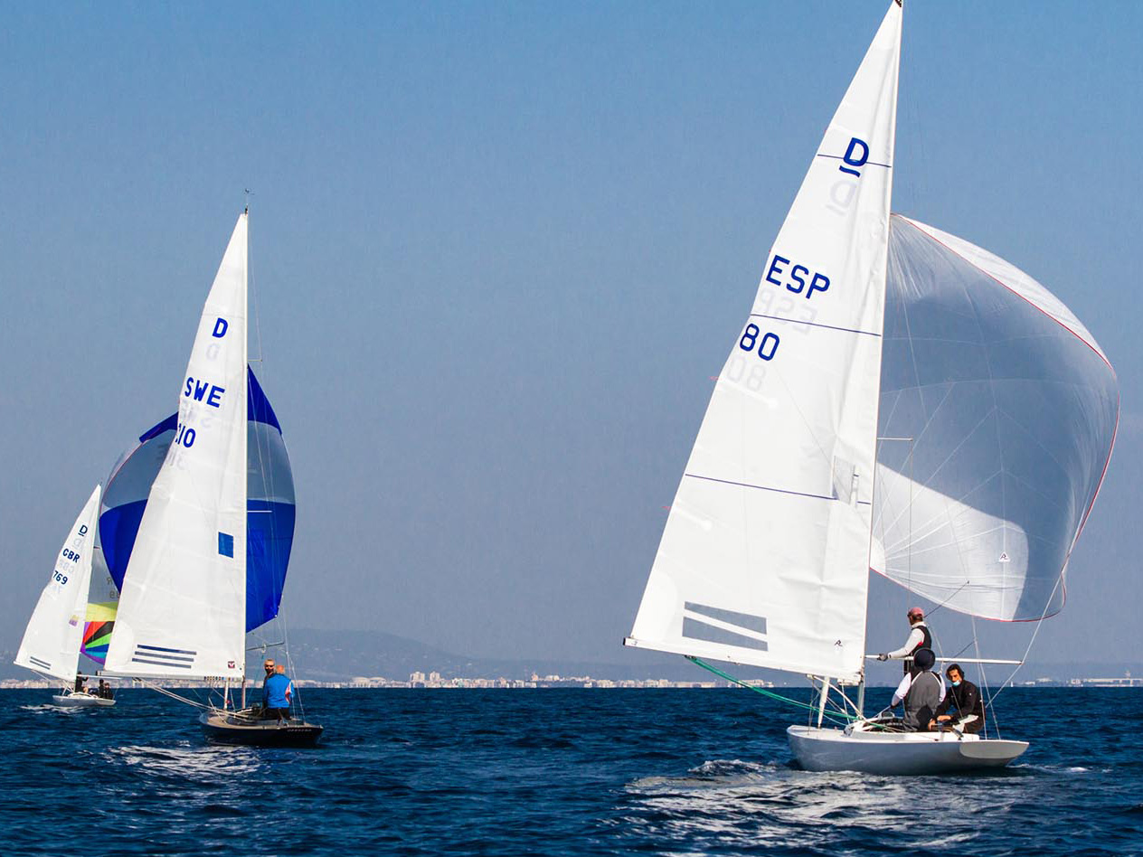 actualidad náutica, noticias náuticas, dragon winter series, puerto portals, easy, vela, regata, reg
