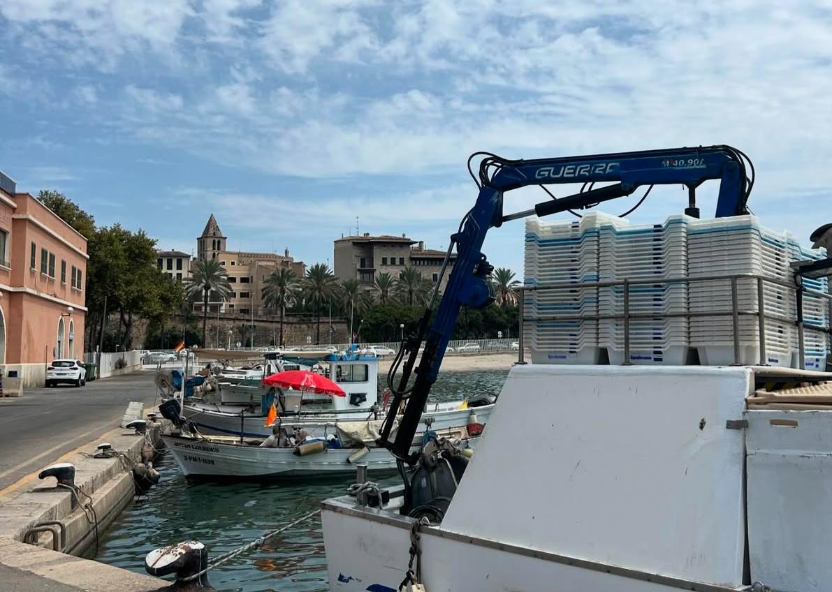 noticias náuticas, actualidad náutica, mar, pesca, normativas pesquera, leyes de pesca