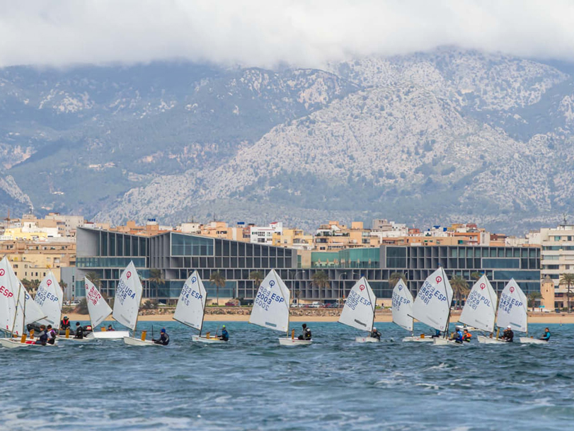 nautical news, nautical news, real club náutico de palma, rcnp, sailors, regatta, yacht, optimist, i