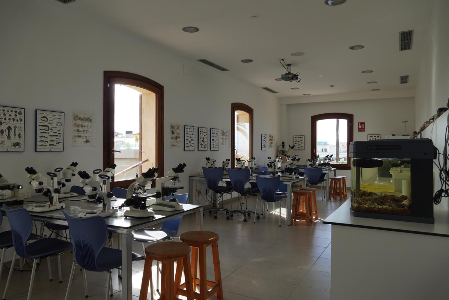 El Aula del Mar amplía sus actividades para concienciar sobre la importancia de cuidar el mar