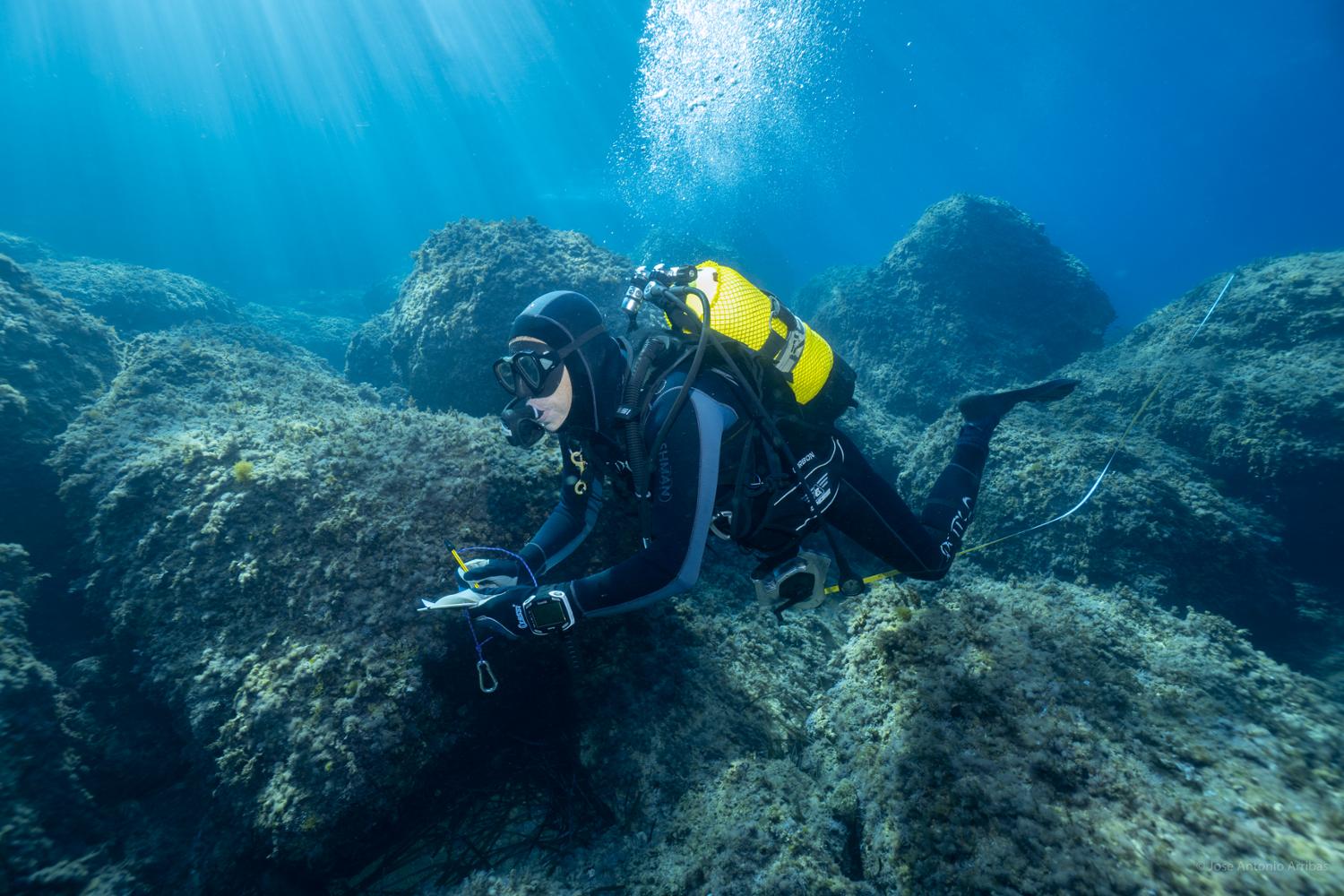 actualidad náutica, noticias náuticas, buceo, profesional, científico, extractivo, centros de formac