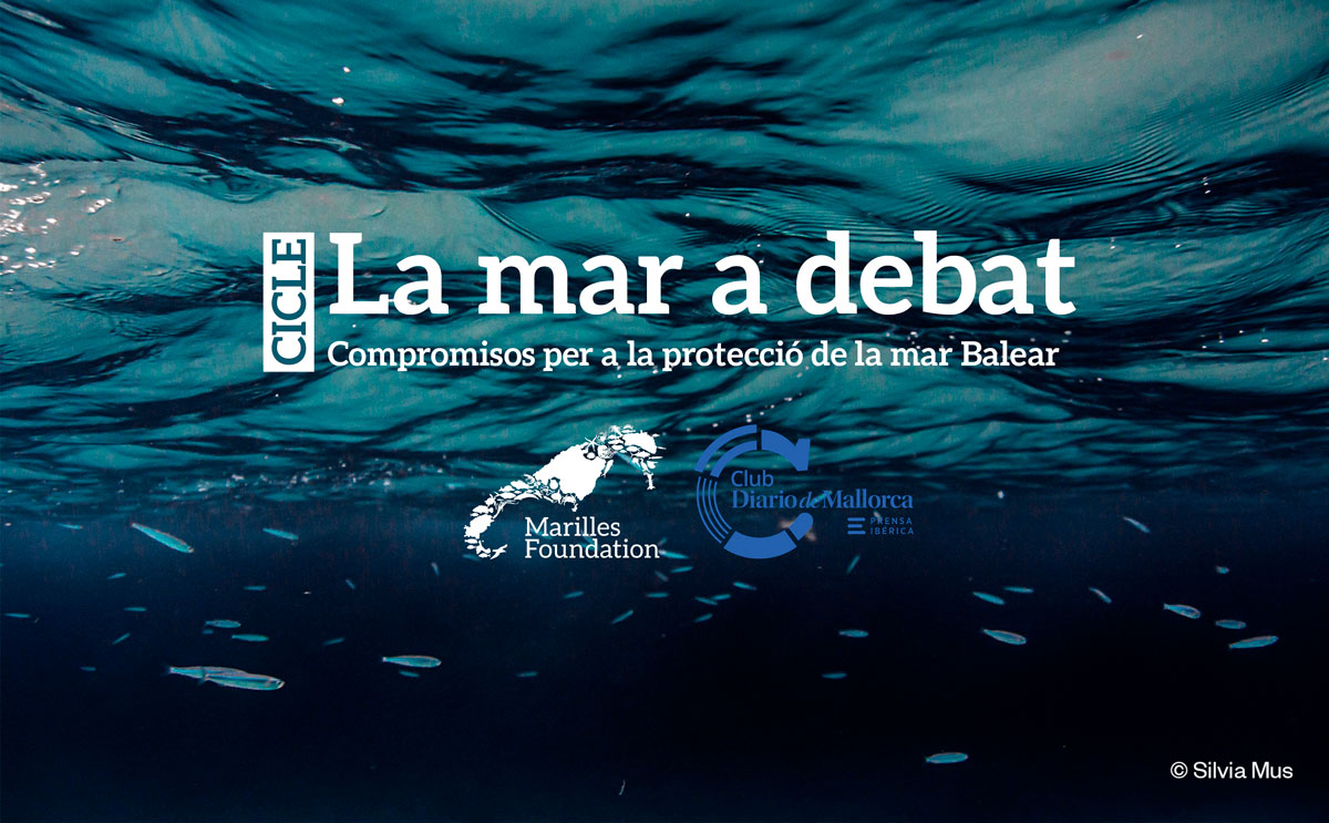 actualidad náutica, noticias náuticas, mar balear, conferencias, fanmed, club nàutic s'arenal, compr