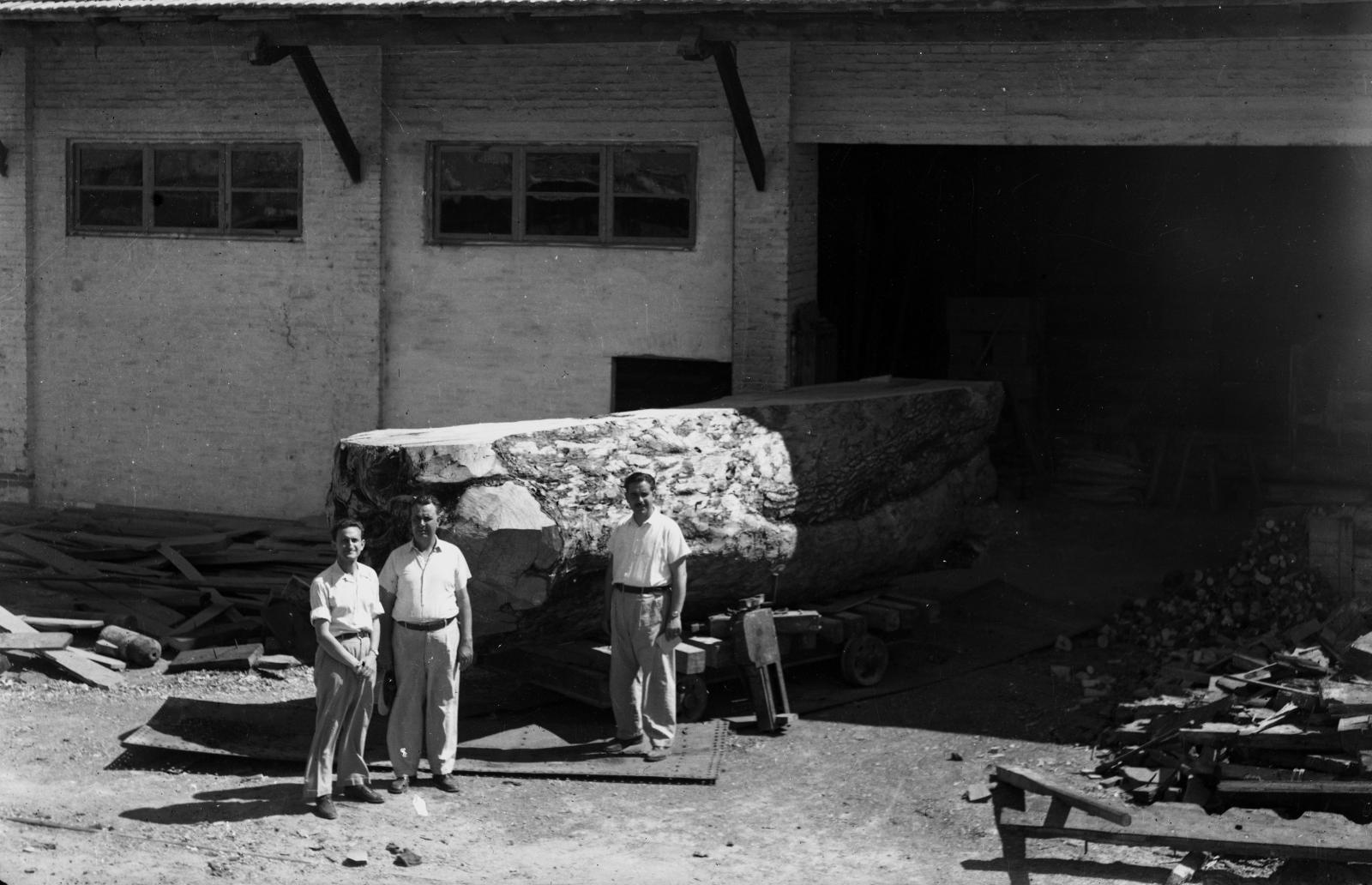 actualidad náutica, noticias náuticas, astilleros de mallorca, exposición, fotografía, historia, 80 