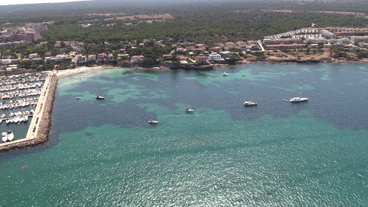  The Club Nàutic Arenal supports IMEDEA in the investigation of the submarine life in the Bay of Pal
