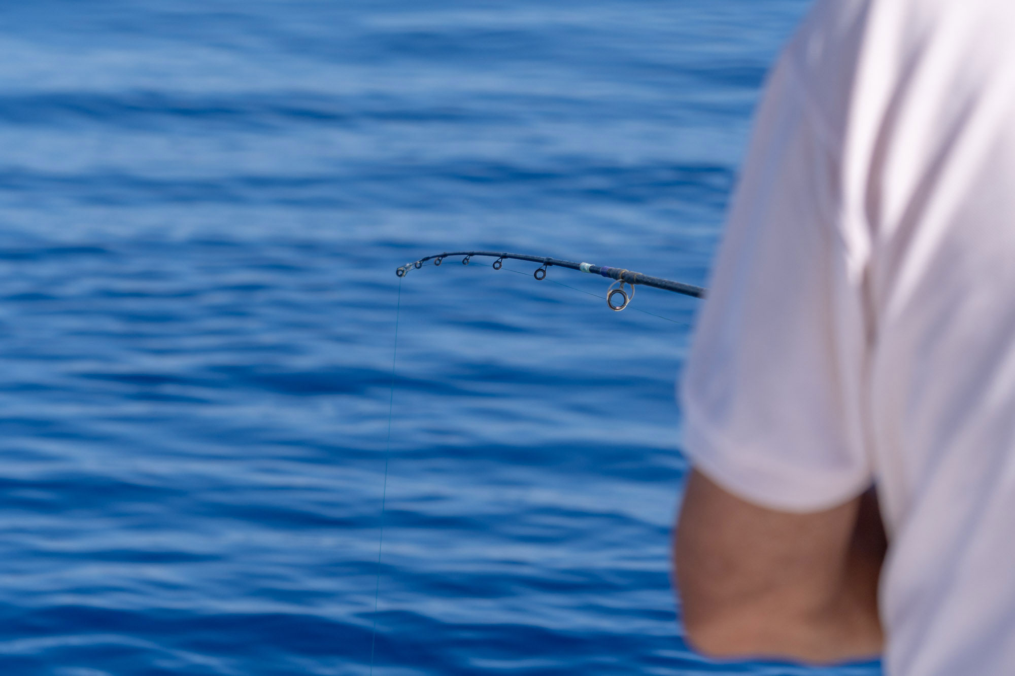 actualidad náutica, noticias náuticas, pesca, dirección general de pesca, decreto, reservas marinas,