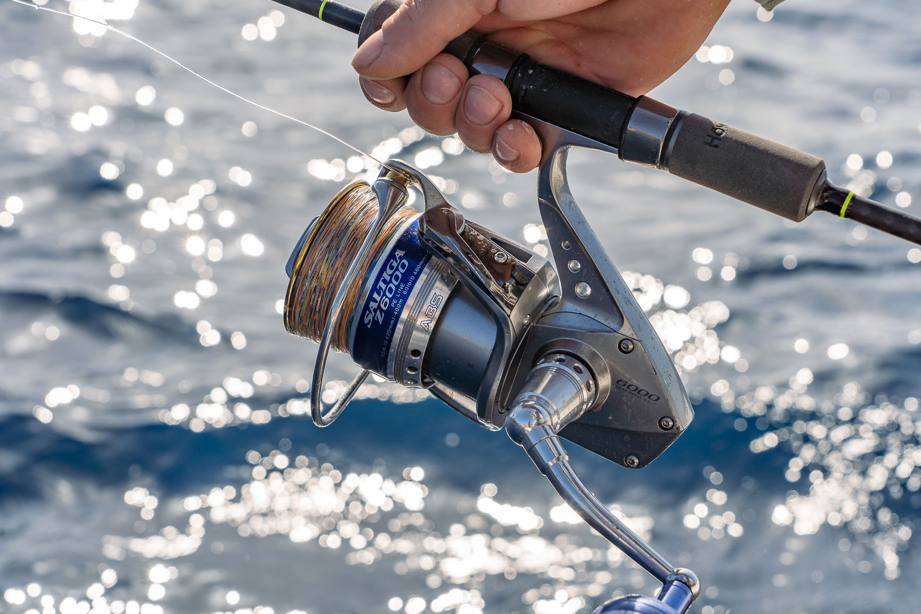 actualidad náutica, noticias náuticas, pesca, dirección general de pesca, decreto, reservas marinas,