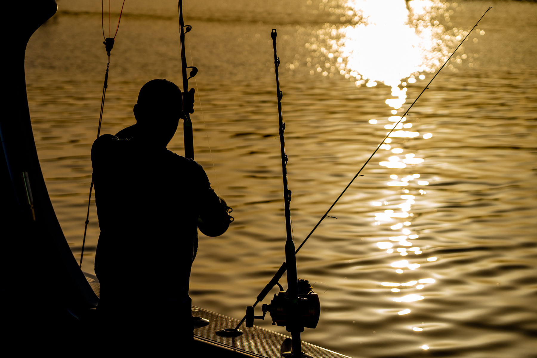Baleares pone en marcha la Comisión de Cogestión de Pesca Recreativa 