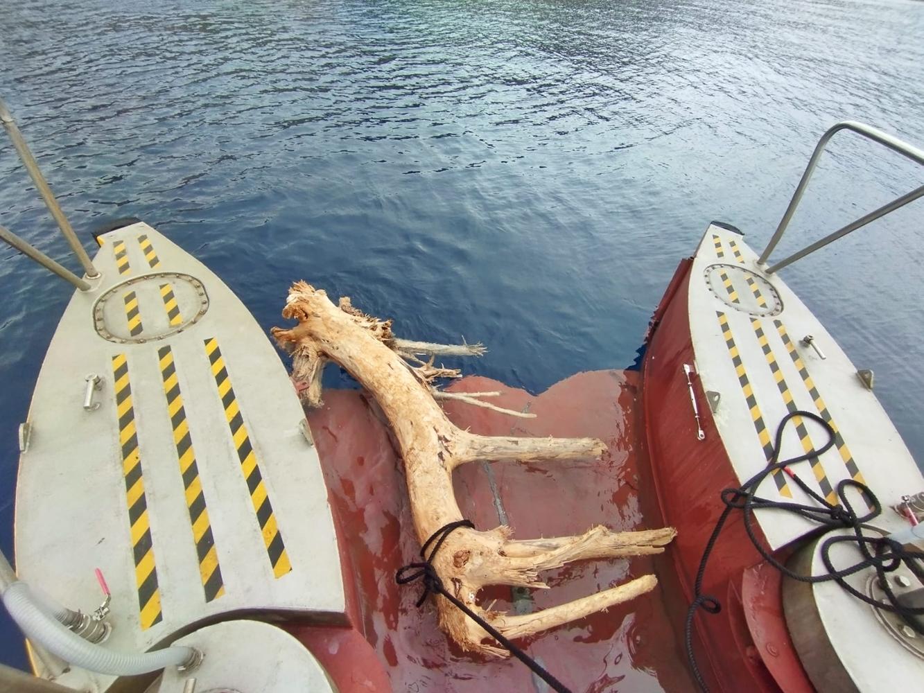 El servicio de limpieza del litoral retira casi 30 toneladas de residuos de las costas baleares esta