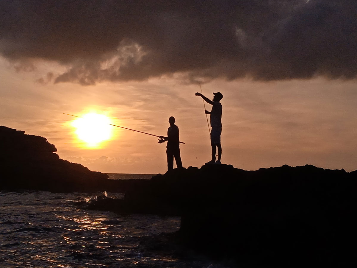 actualidad náutica, noticias náuticas, pesca, pesca recreativa, pesca recreativa marítima, licencias