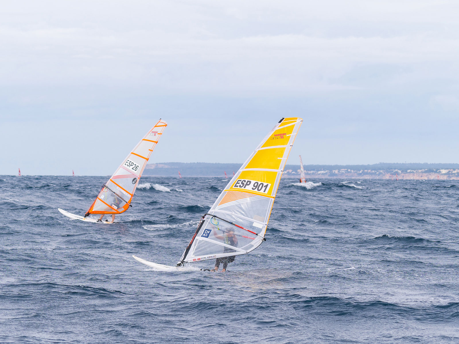 actualidad náutica, noticias náuticas, olympic week, valencia, vela, regata, iqfoil, club nàutic s'a