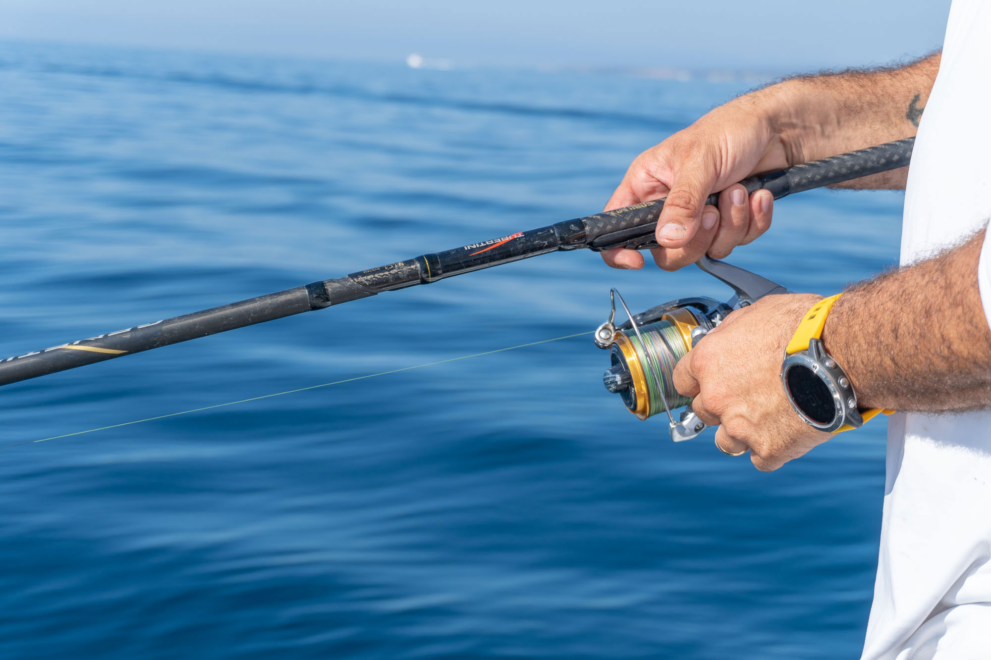 Actualidad náutica, noticias náuticas, pesca, Baleares, Bruselas, Federación Balear de Cofradías de 