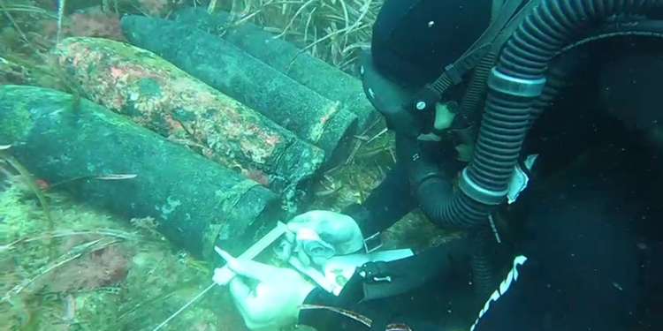 Detonados cinco proyectiles hallados en aguas de Ibiza 