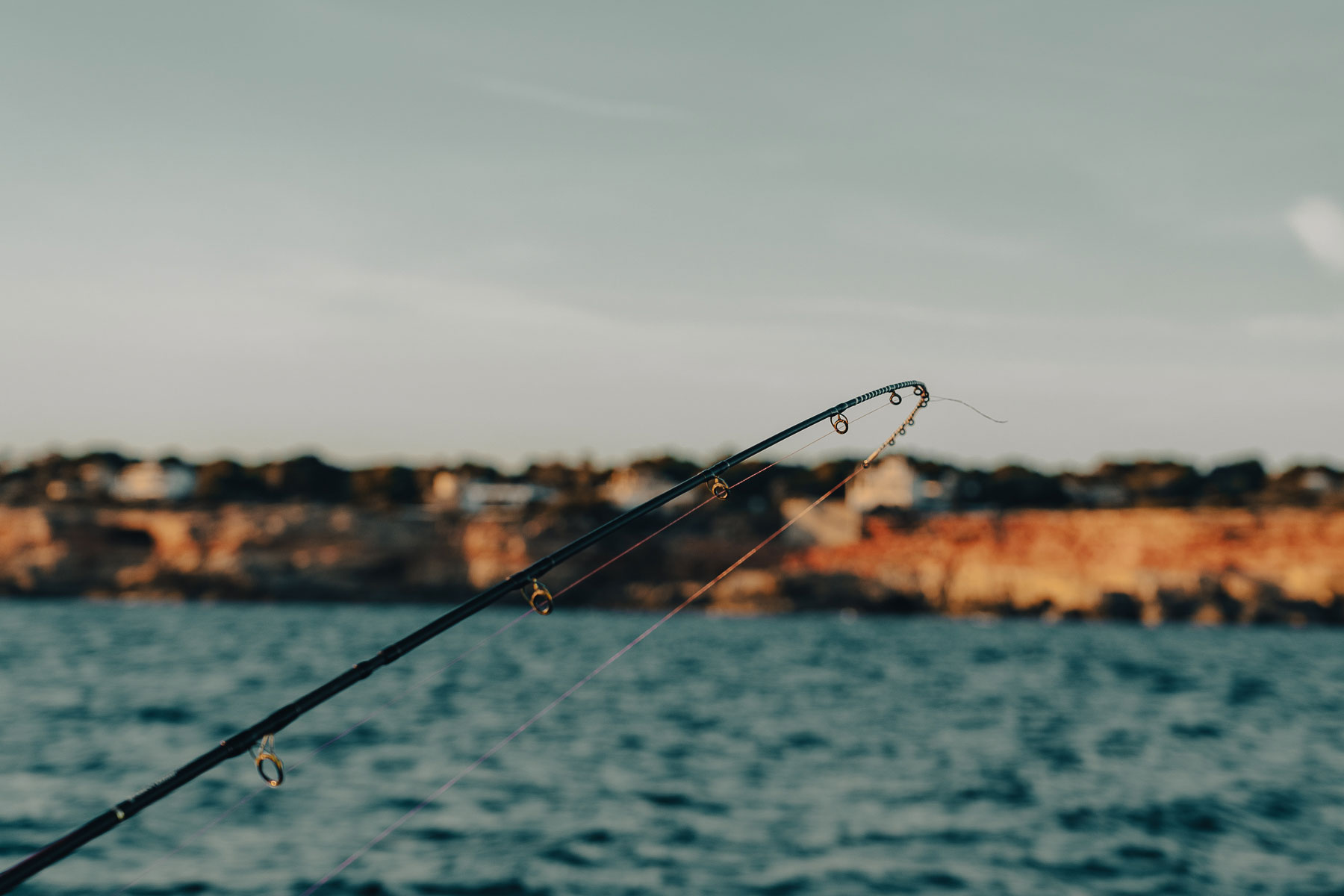 El Govern fija cuotas máximas diarias para la pesca recreativa de algunas especies 